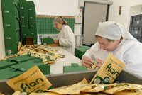 Préparation pour Crèmes dessert