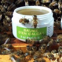 Baume d'En Calcat  a la Propolis