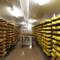 Fromages