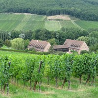 Abbaye N.-D. de Baumgarten