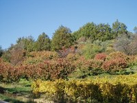 Accueil Abbaye Notre Dame de Bon Secours, Blauvac
