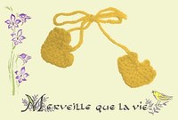 Cartes de naissance