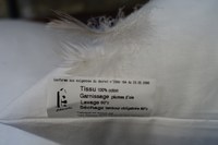 Oreillers en plumettes d'oie