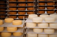 Fromage : le Trappe Echourgnac