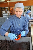 Abbaye N.-D. de Bonneval