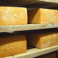 Fromages de vache