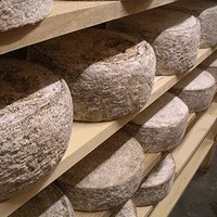 Fromages