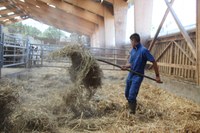 Abbaye N.-D. de Sept-Fons