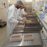 Abbaye Notre-Dame de Tournay