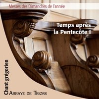 Chant grégorien : toute l'année liturgique (14 CD)