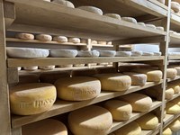 Fromages