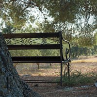 Accueil à l'Abbaye Notre Dame de Fidélité