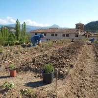 Abbaye Notre-Dame de Miséricorde