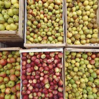 Pommes, pêches et produits dérivés