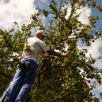 Abbaye St-Guénolé de Landévennec