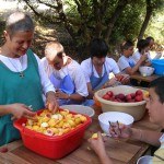 Accueil Abbaye Ste-Lioba