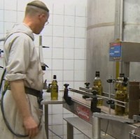 Huile d'olive en bouteilles