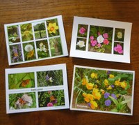 Chapelets, dizainiers, carterie, divers....