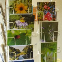 Cartes