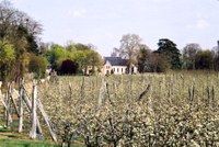 Réseau de distribution des hosties à l'intention des paroisses