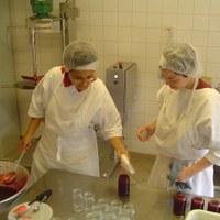 Carmel du Havre Carmel du Havre