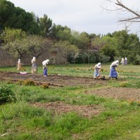 Chanoinesses d'Azille