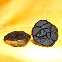 Les Fioretti - Clarisses Lourdes