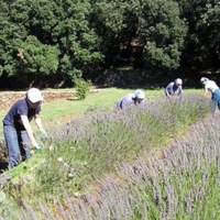 Accueil Monastère de la Paix-Dieu