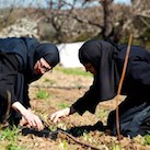 Monastère de la Protection-de-la-Mère-de-Dieu