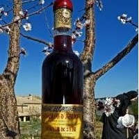 Apéritifs à base de vin