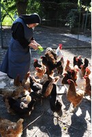 Monastère de la Visitation de Tarascon