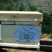 Essaims d'abeilles
