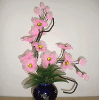 Boutique Visitation Caen