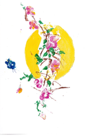 cartes reproduction aquarelles