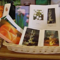 Boutique Carmel Bayonne