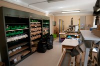 Monastère Bénédictines du Saint Sacrement de Rosheim Monastère Bénédictines du Saint Sacrement de Rosheim