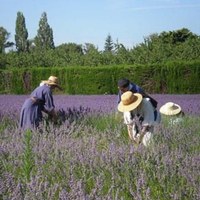 Monastère La Clarté Notre Dame, Dominicaines de Taulignan Monastère La Clarté Notre Dame, Dominicaines de Taulignan