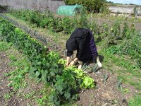 Monastère La Paix Notre Dame
