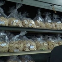 Réseau de distribution des hosties à l'intention des paroisses