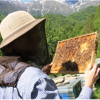 Monastero Dominus Tecum