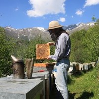 Miel et produits à base de miel
