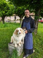 Elevage de bergers australiens