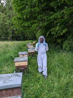 Miels de l'Abbaye de Solignac