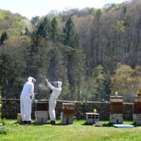 Miels de l'Abbaye de Solignac