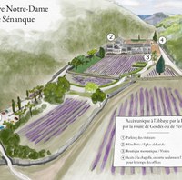 Revendeur - Abbaye de Sénanque